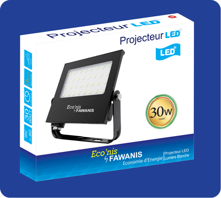 projecteur 30W